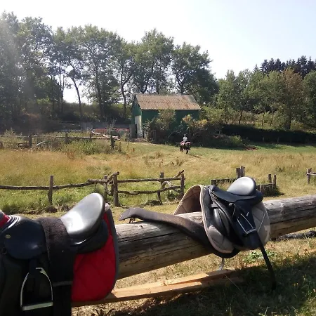 Lejlighed Urlaub Im Sauerland Zwischen Wald & Winterberg Hallenberg