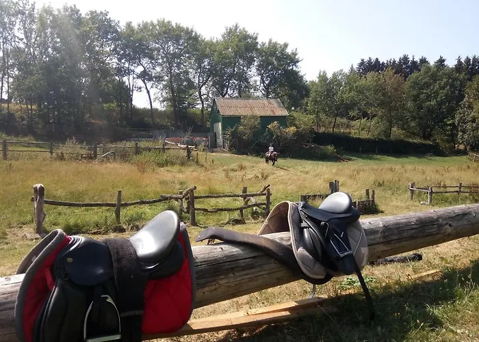Lejlighed Urlaub Im Sauerland Zwischen Wald & Winterberg Hallenberg